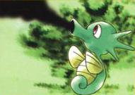 Misty's Horsea