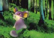 Lt. Surge's Rattata