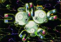 Magneton