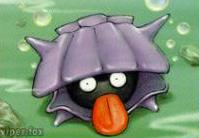 Shellder