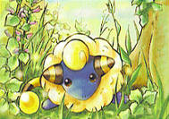 Mareep