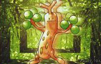 Sudowoodo