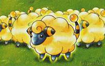 Mareep