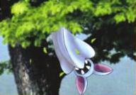 Brock's Zubat