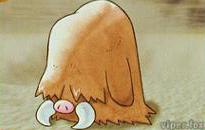 Piloswine