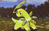 Bayleef