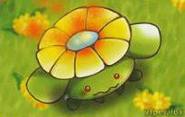 Skiploom
