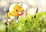 Koga's Weedle
