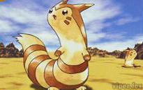 Furret