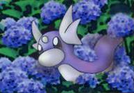 Erika's Dratini
