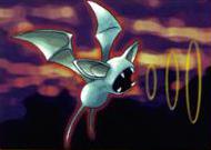 Brock's Zubat