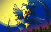 Murkrow