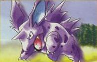 Giovanni's Nidorino