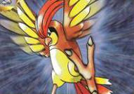 Koga's Pidgeotto