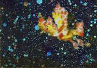 Blaine's Moltres