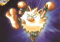 Brock's Primeape