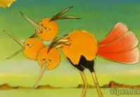Dodrio