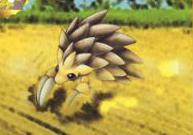 Brock's Sandslash