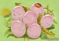 Exeggcute