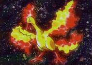 Rocket's Moltres