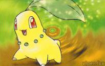 Chikorita