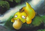 Misty's Psyduck