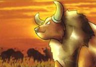 Blaine's Tauros