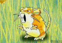 Raticate