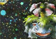 Erika's Venusaur
