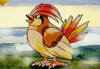 Pidgeotto
