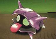 Misty's Shellder
