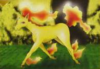 Rapidash