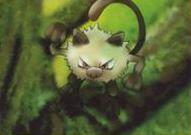 Brock's Mankey