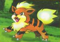 Blaine's Growlithe