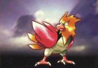 Lt. Surge's Spearow