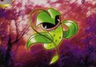 Erika's Victreebel