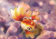 Misty's Goldeen