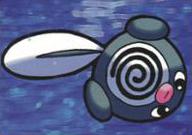Misty's Poliwag