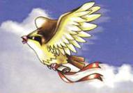 Koga's Pidgey