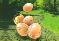 Erika's Exeggcute