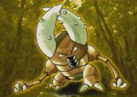 Pinsir