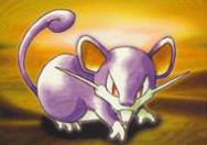 Lt. Surge's Rattata